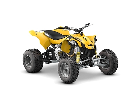 Can-Am DS DS 450 2011 - 2015